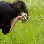 A40 GrashalmInstitut