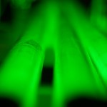 A40 GrashalmInstitut