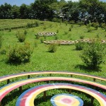 circles to grass